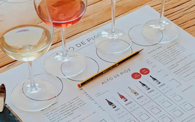 Vinos de Bodegas Alto de Pioz